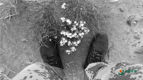 军旅微影像,军旅感人催人泪下的战友情视频