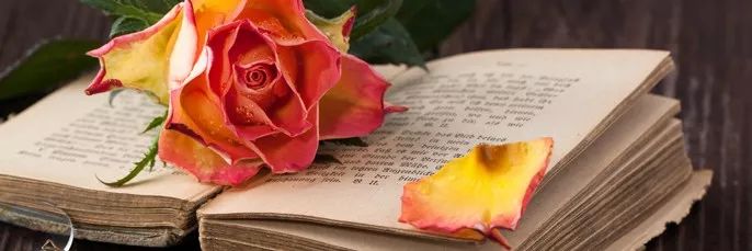 高中生到底想要什么样的恋爱,高中生的恋爱观是什么