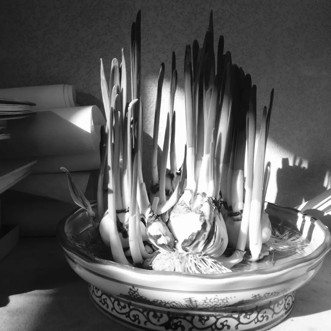 岁暮无事刘若尘完整版,岁末无事刘若尘视频