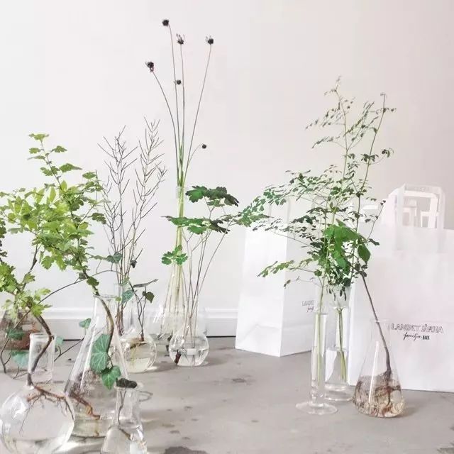 不用羡慕小S坐拥小姐姐花店，全球最美的7家花店还等你去打卡呐~