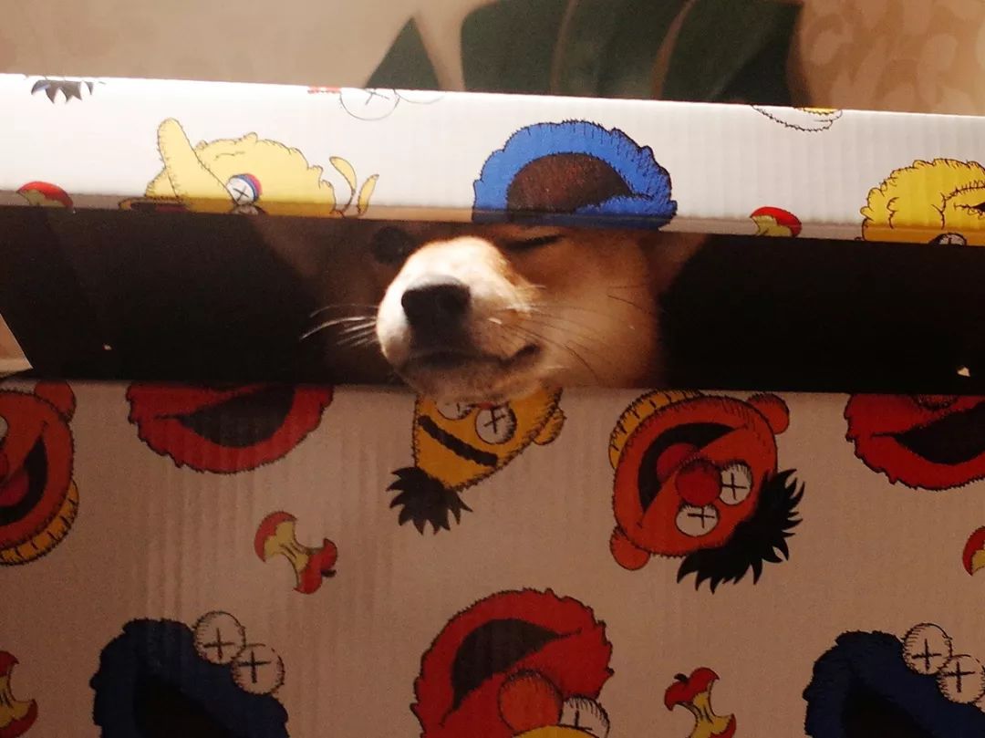 nikeelement87undercover,nikereactundercover联名