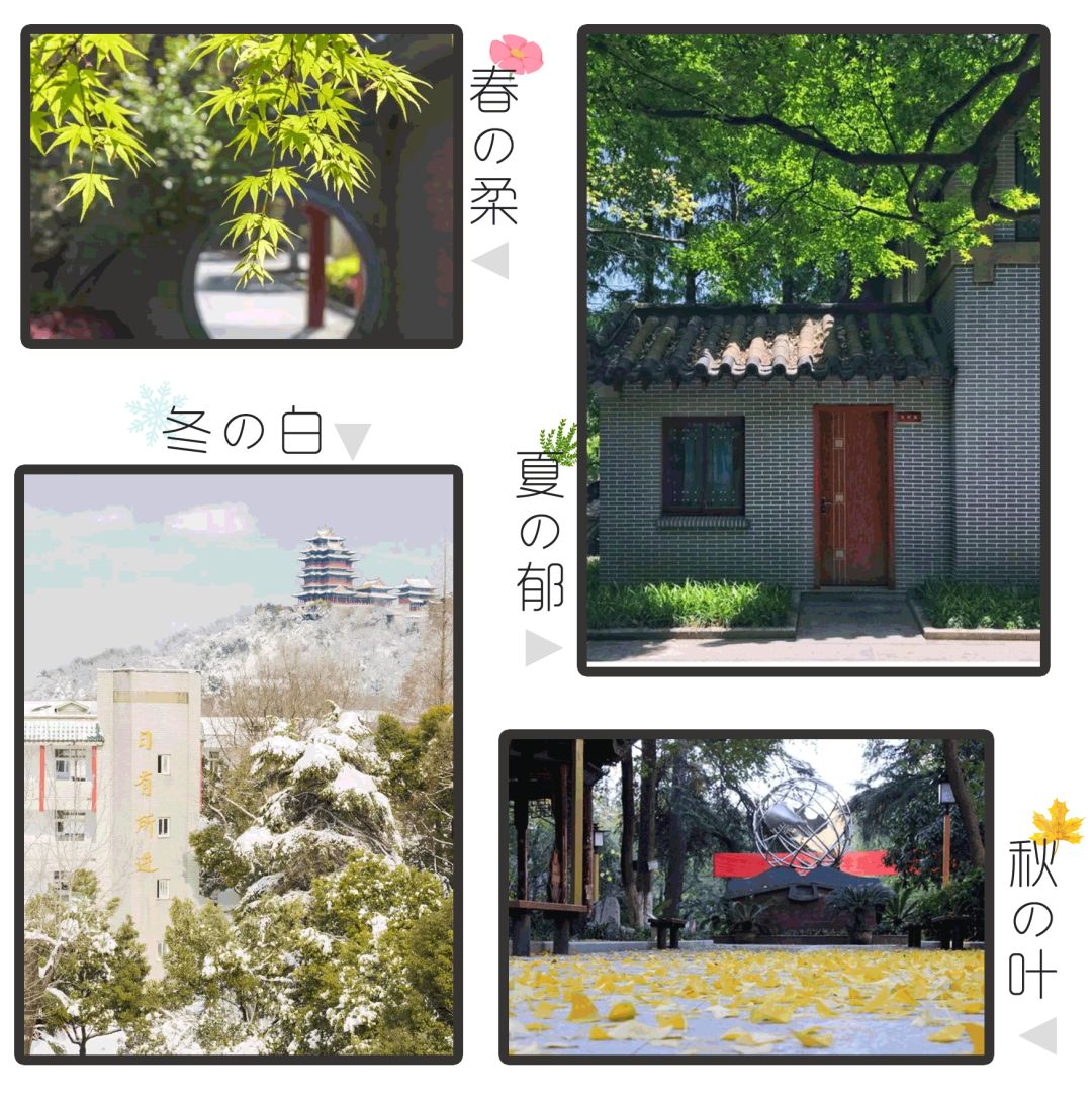 南京下关十二中初中部,下关十二中怎么样