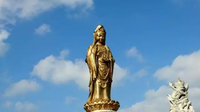 家门口离海最近的酒店，包别墅、吃海鲜畅快过冬，特惠买一送一！