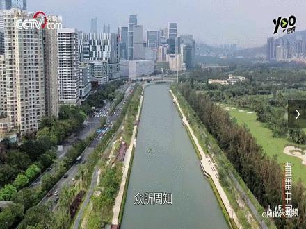 又一人大代表盛赞南山城区,“争着进去,就是好环境”