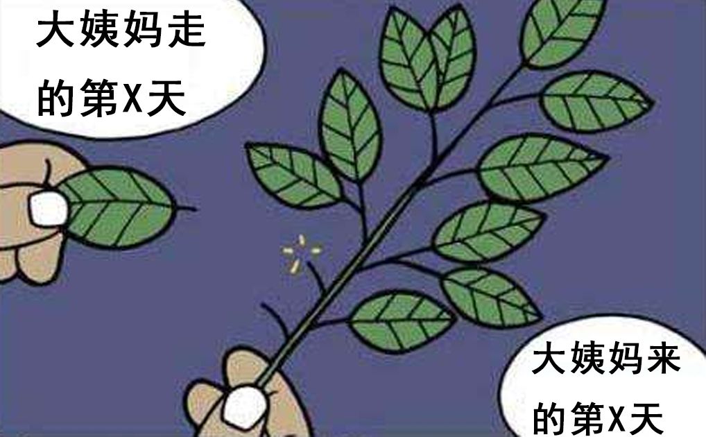 男生对女生来大姨妈有多少误解,女生让男生知道了大姨妈