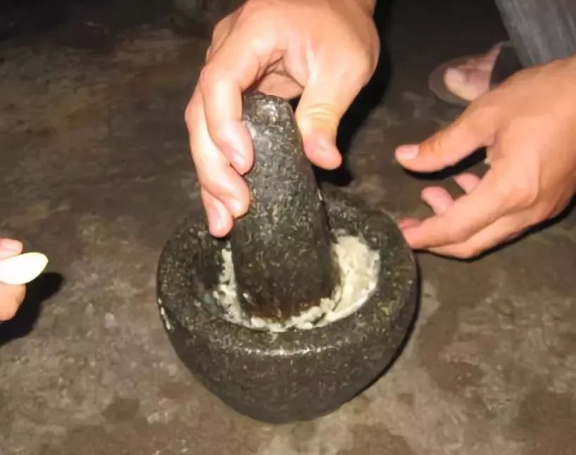 家里盆栽洋葱开花,洋葱盆栽开花