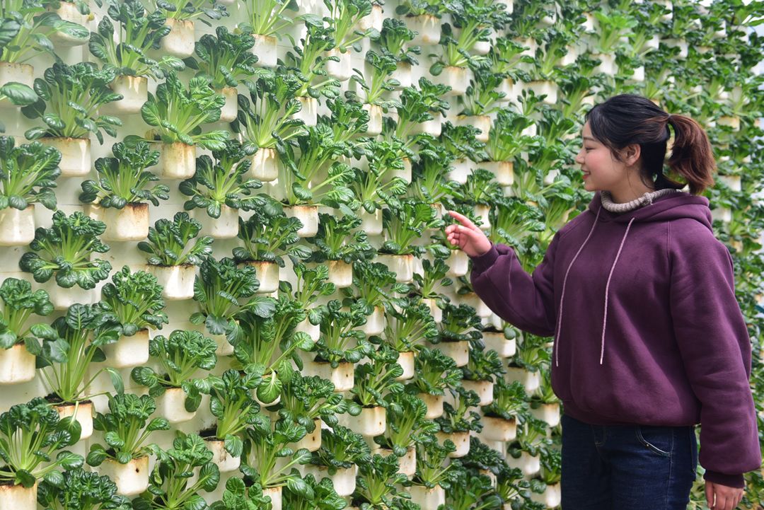 寻找一起做事志同道合的合伙人,找正能量的合伙人