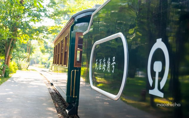 三亚五天四晚划算还是自由行划算,五天四晚三亚省钱攻略