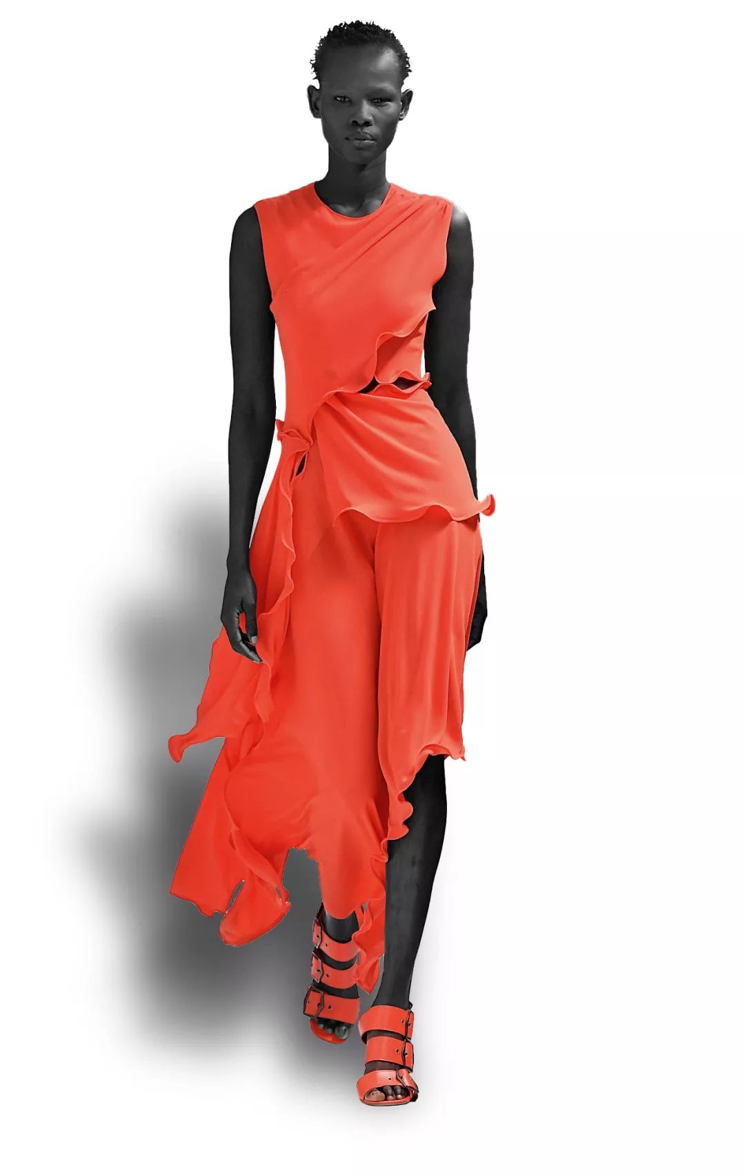 2019途观l旗舰版有橙色吗,2019是属什么年