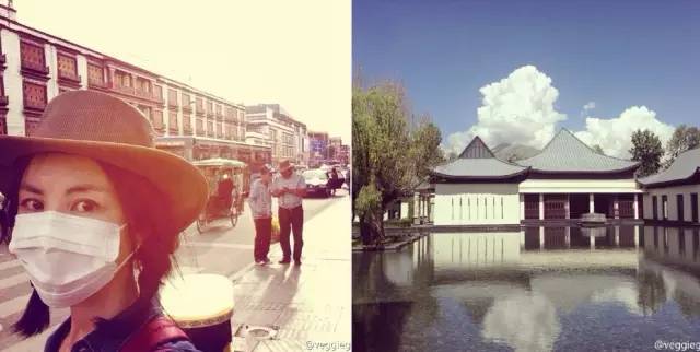 1200㎡透明泳池小红书点赞100w+,这家黄金海岸边的酒店才是海岛季首选