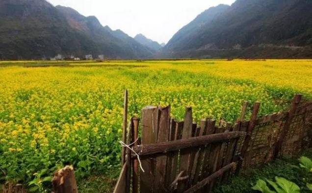 头条丨别劝了！我决定留在广西过春节，好吃又好玩，关键还不冷