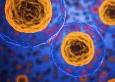 黑色素瘤早治疗了就好了吧,比较难治疗的黑色素痣