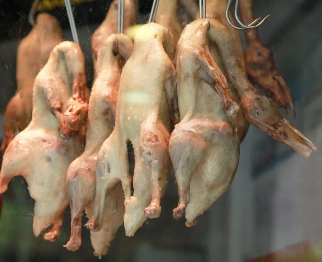 南京最好吃盐水鸭子排名,中国哪里的鸭子最多