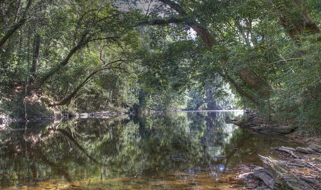 18本言情小说推荐,18本小说