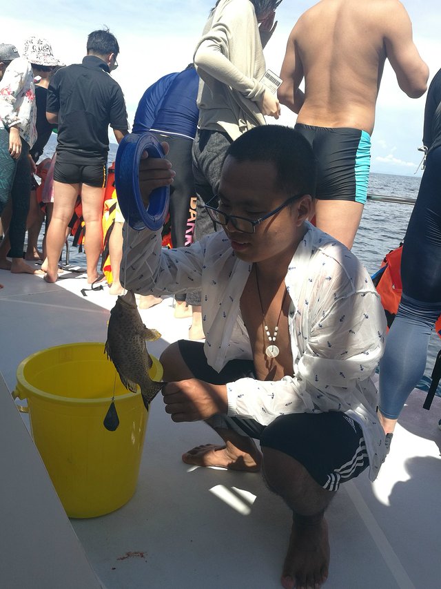 泰国曼谷芭提雅普吉岛自由行,自由行曼谷普吉岛芭提雅