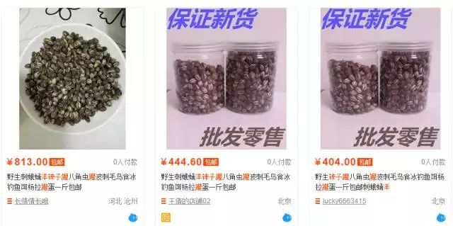 农村不可思议的东西,不可思议的新疆手工艺品