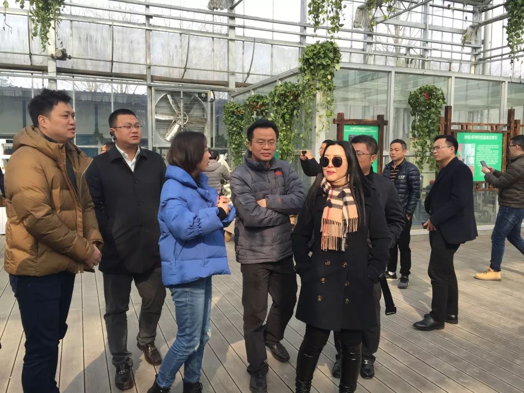 沙溪新区东部新城规划,沙溪村城市更新改造项目