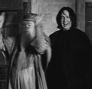 哈利波特麻瓜完整版,哈利波特麻瓜介绍