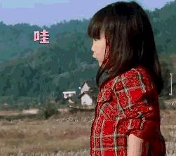 安徽肥东二中喜报2020,肥东二中体育