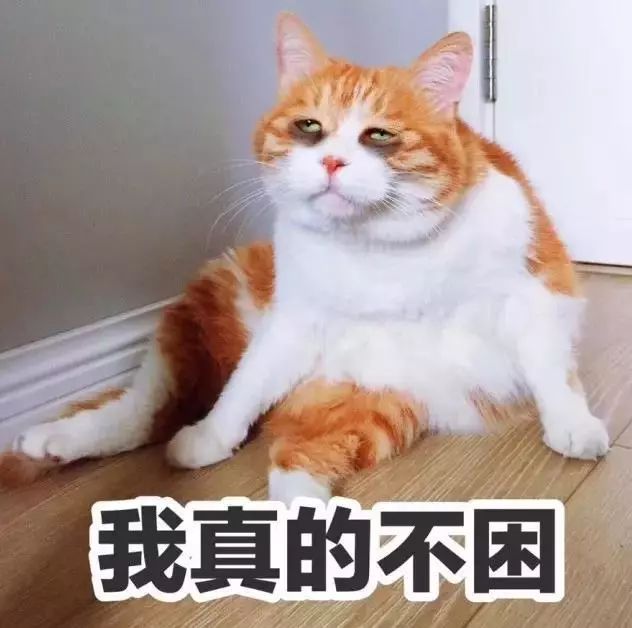 没有这个，怎么安心加班熬夜修仙~