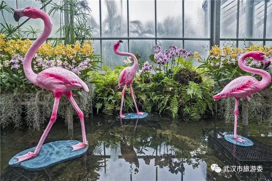 3月终于要放晴啦！出门赏花看剧，这里有攻略