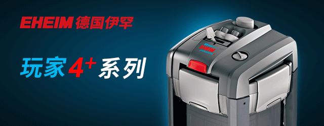 ada2021造景大赛第一名高清图,22年ada造景大赛