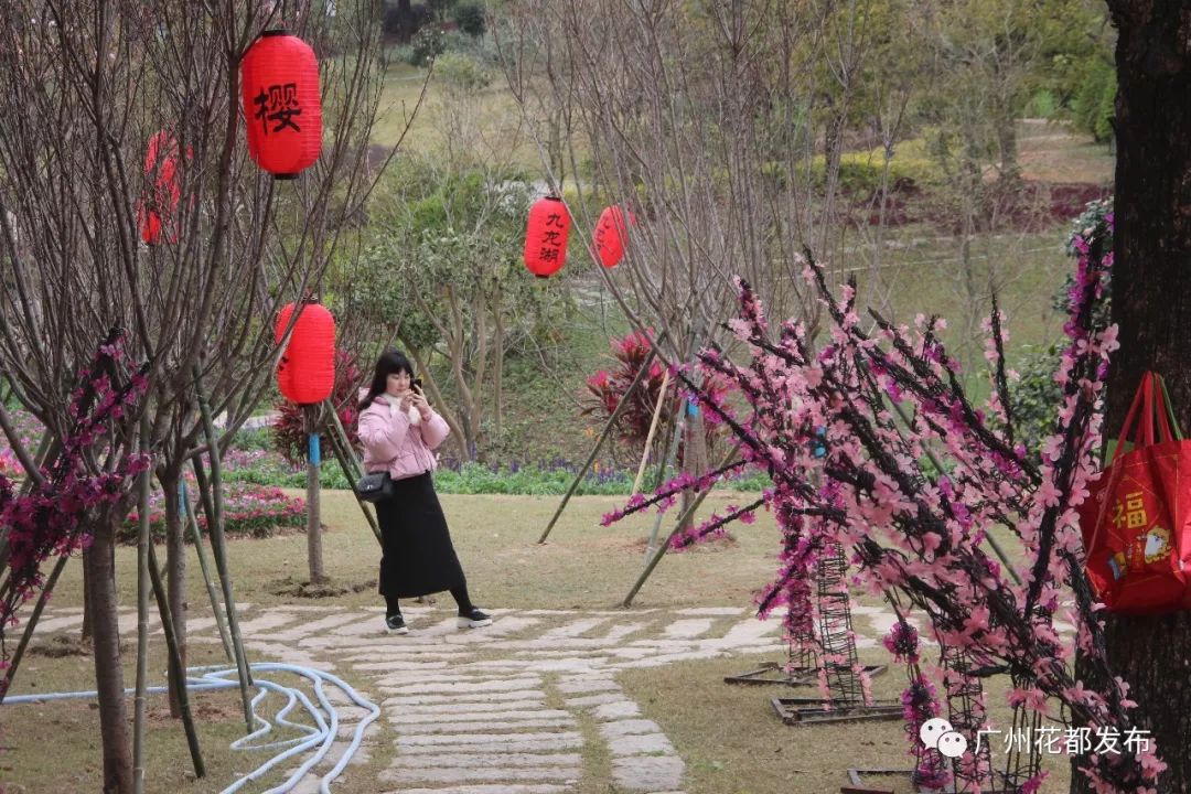 花都景点人气榜,春节全国旅游热点景点