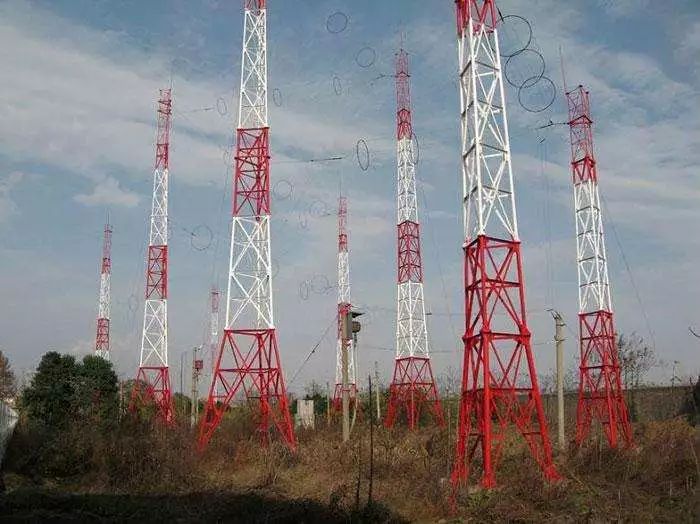 火腿课堂,火腿肠课堂