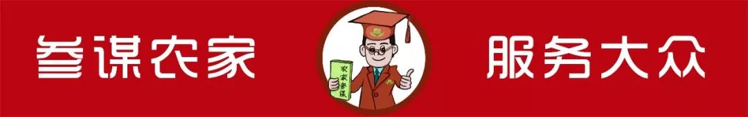 益农信息社便民服务有哪些,益农信息社服务内容