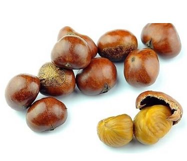 每日一素简单营养的素食菜谱,每日一菜冬季养生羊肉汤