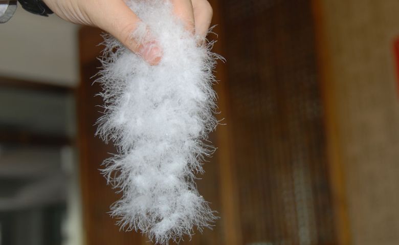 多种大牌被检出致癌物,曝光多款热门商品测出致癌物