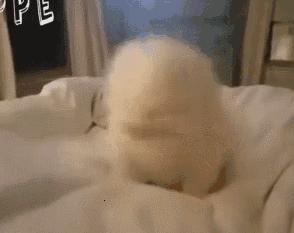 鼻炎救星三年鼻炎终要痊愈,鼻炎折磨人