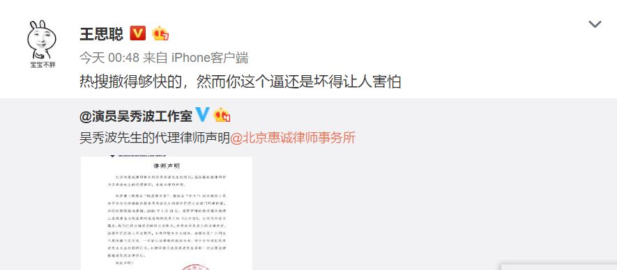 吴秀波小三被抓,吴秀波的女友被判几年