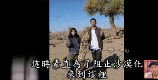这位日本女人嫁到内蒙古牧区只为和丈夫在沙漠上种树