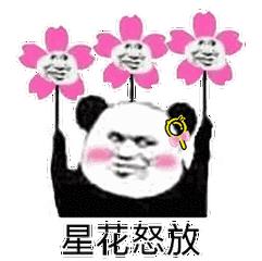 车牌号可以重新换新号牌吗,车牌可以互换了