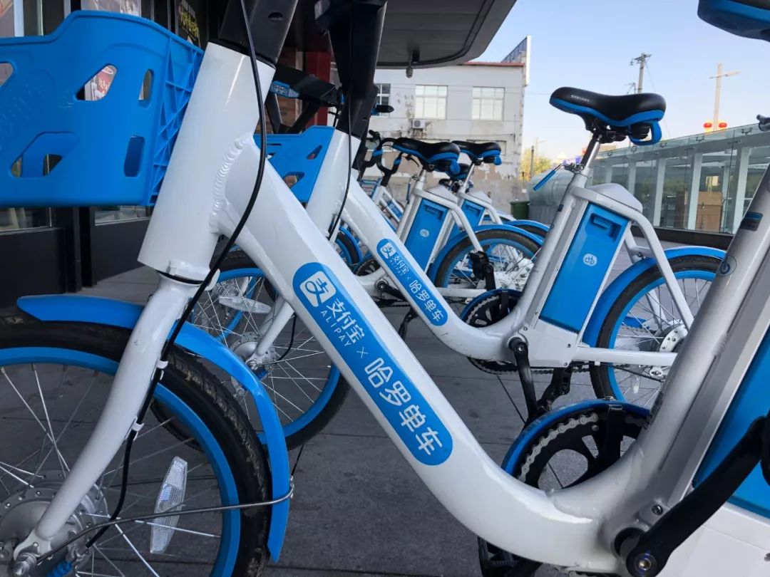 官威依旧照片,官威依旧高清图