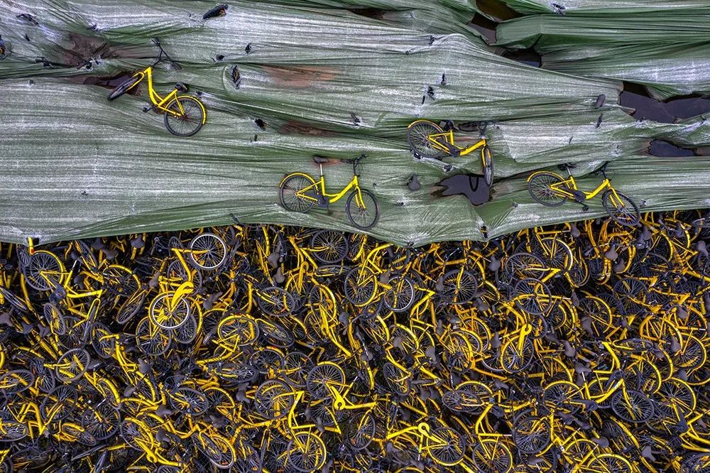 官威依旧照片,官威依旧高清图