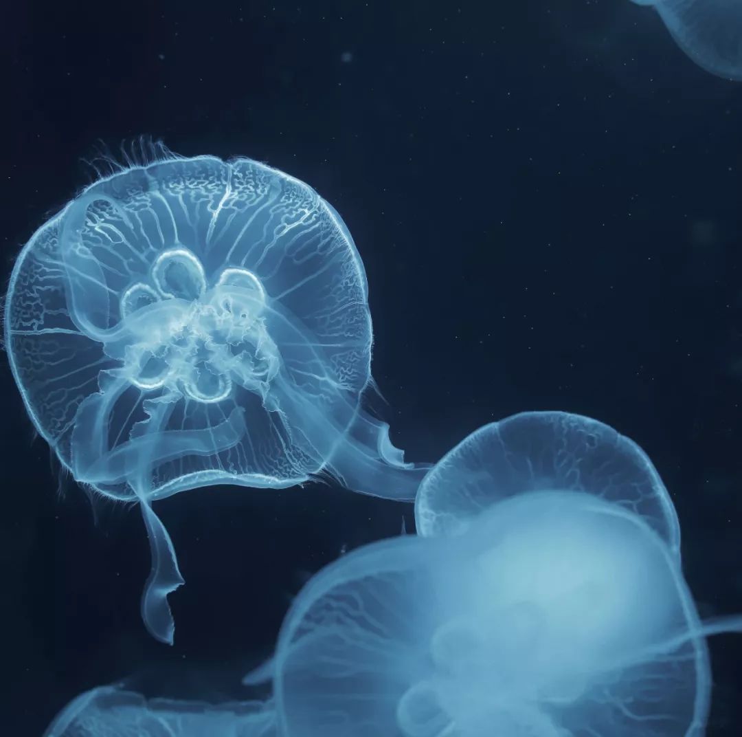 日系清新拍照参考,拍小清新日系照