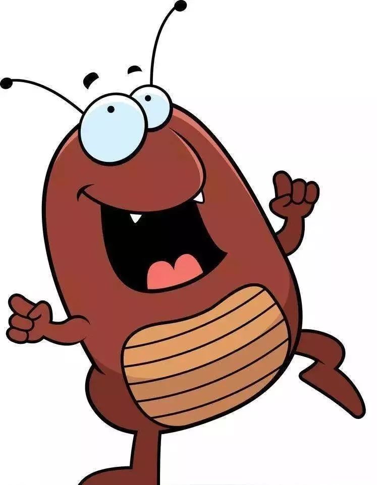 爱卫会除四害技术指导,官方支招教你如何除四害