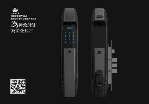 德国智能锁和国产智能锁哪个好,老牌智能锁有哪些