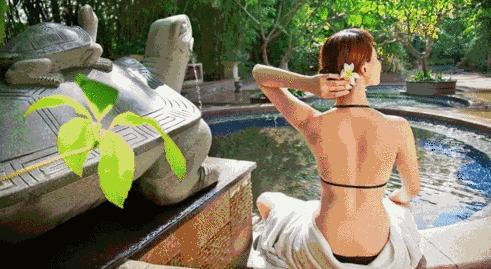 洛阳凤翔温泉特价门票夜泡,洛阳凤翔温泉的免费模式