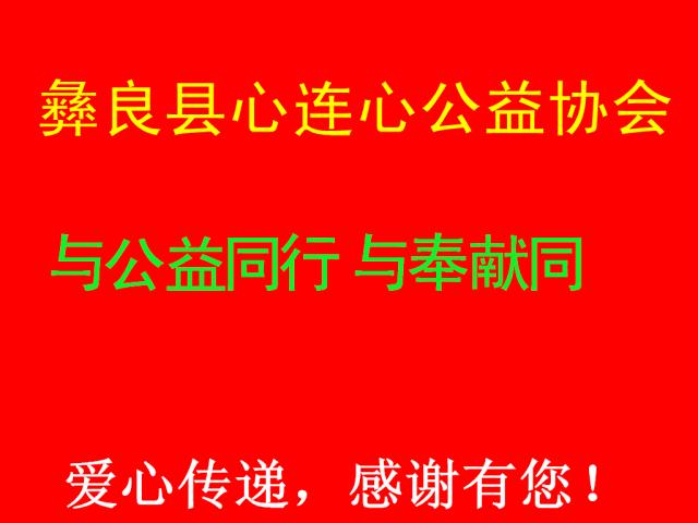 「爱心款名单」帮助云南彝良龙海3名孤儿爱心款公布
