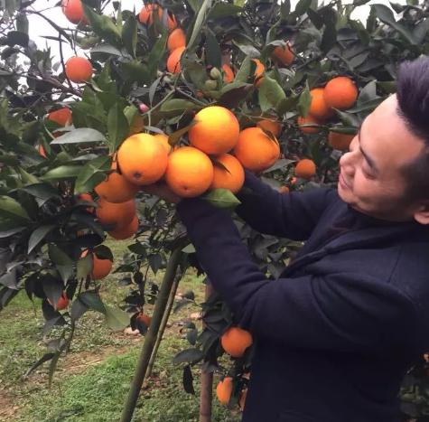 快手赚钱的途径有哪些,快手上的赚钱方法可靠吗