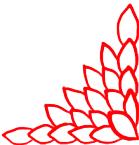 走进荷兰“花花世界”，五大赏花攻略总有一款适合您！骑行/直升机，逛花园花田，跟着花农的脚步走过这个春天