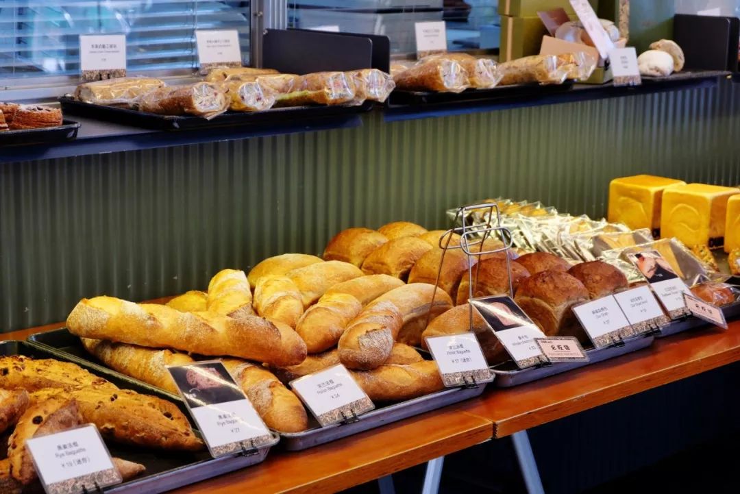 面包和汤和猫咪好天气免费观看,面包和汤和猫咪好天气