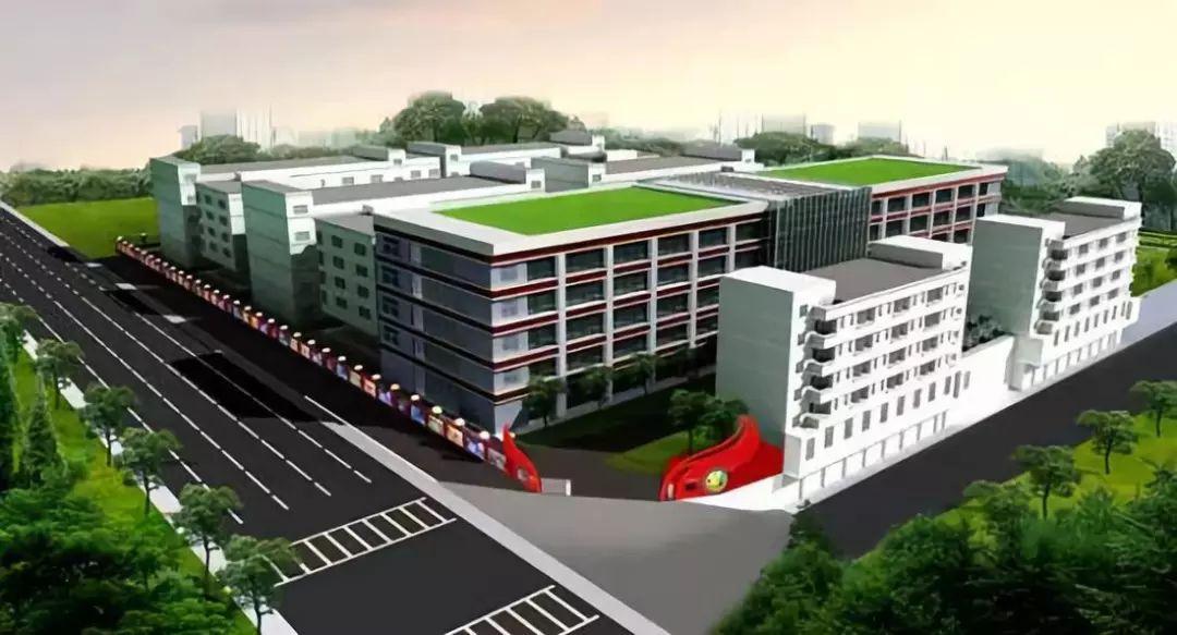 张合运深圳,深圳张合运