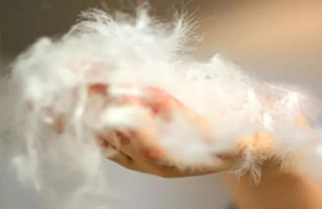 羽绒服脏了不用洗用它一喷就干净,不太脏的羽绒服怎么清理才干净呢