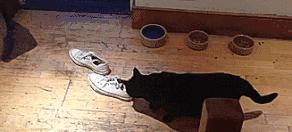 这颗小白球，居然彻底治愈了我的脚臭，日本家庭必备的除臭杀菌神物，三分钟还你一个清新的“脚气”！