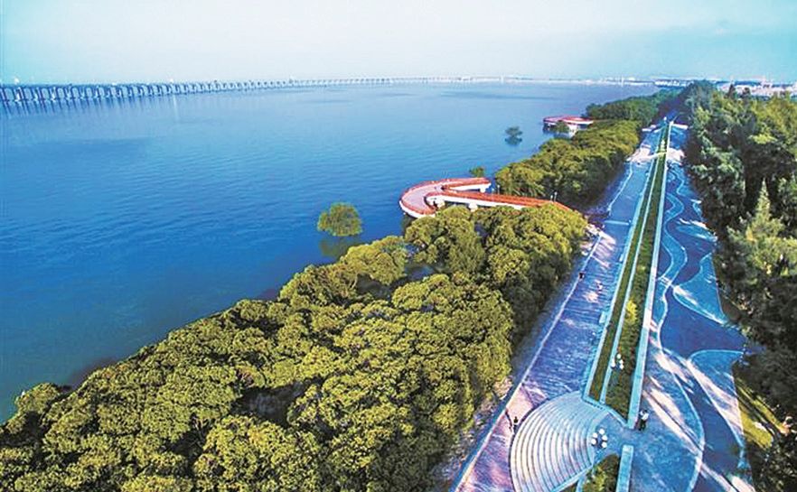 带你玩转深圳攻略在这里,深圳一日游详细攻略大全最新