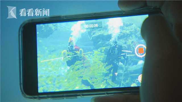 海昌极地水下舞龙拜年,海昌极地海洋公园水下舞龙